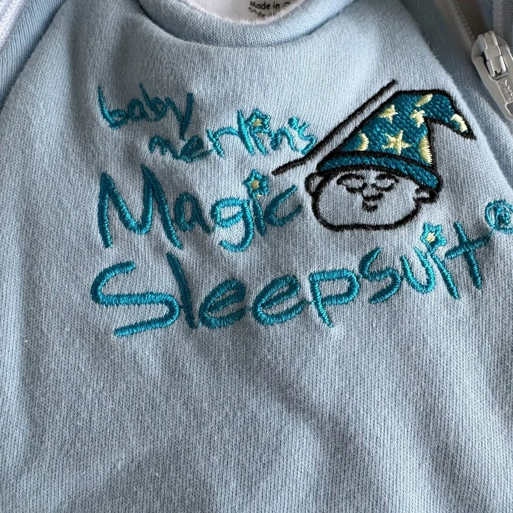 Baby Merlins baby merlin